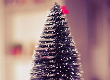 Natale_albero.jpg