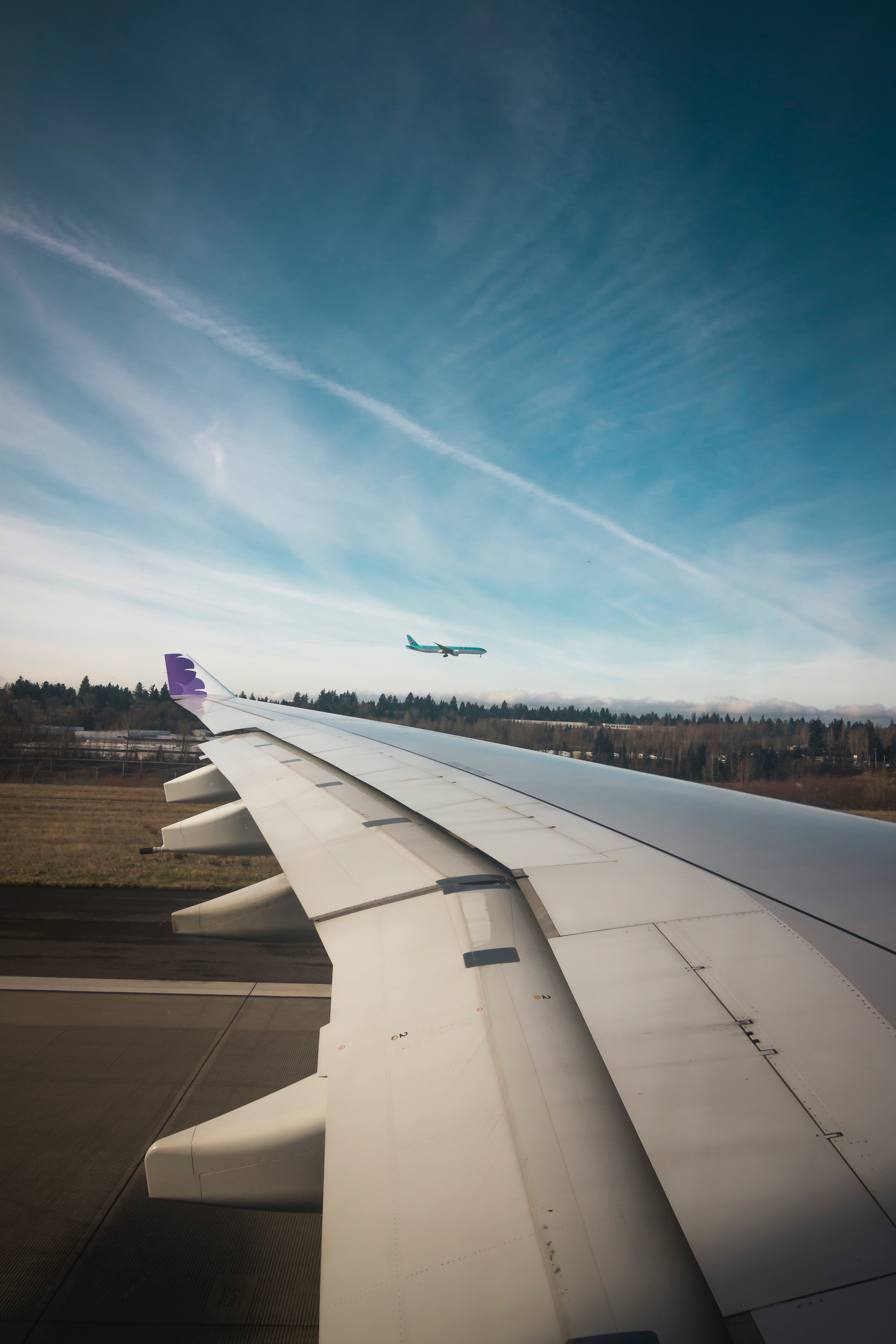ala_aereo.jpg