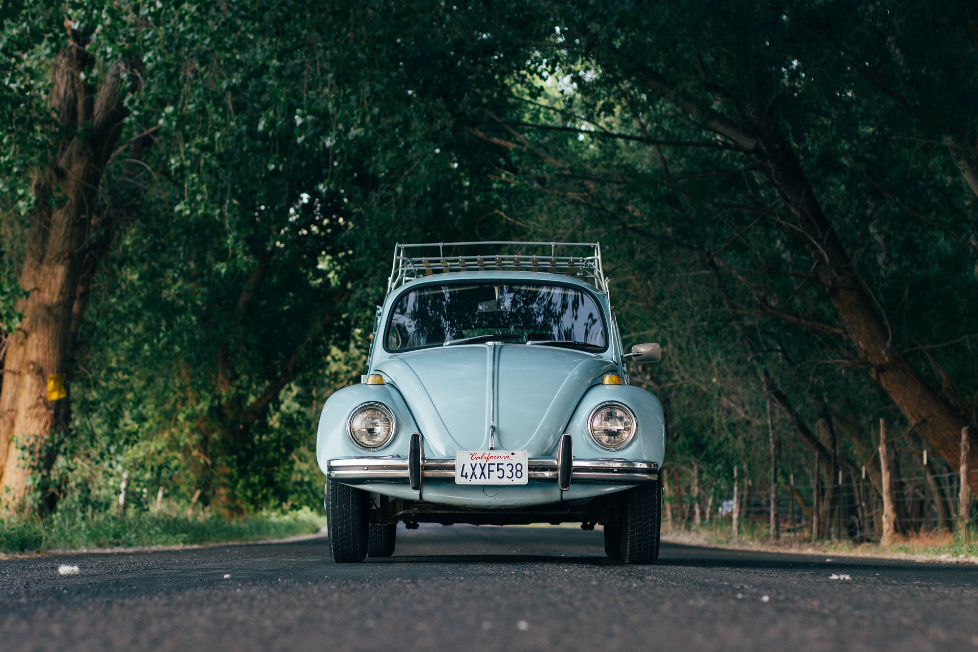 auto(6).jpg