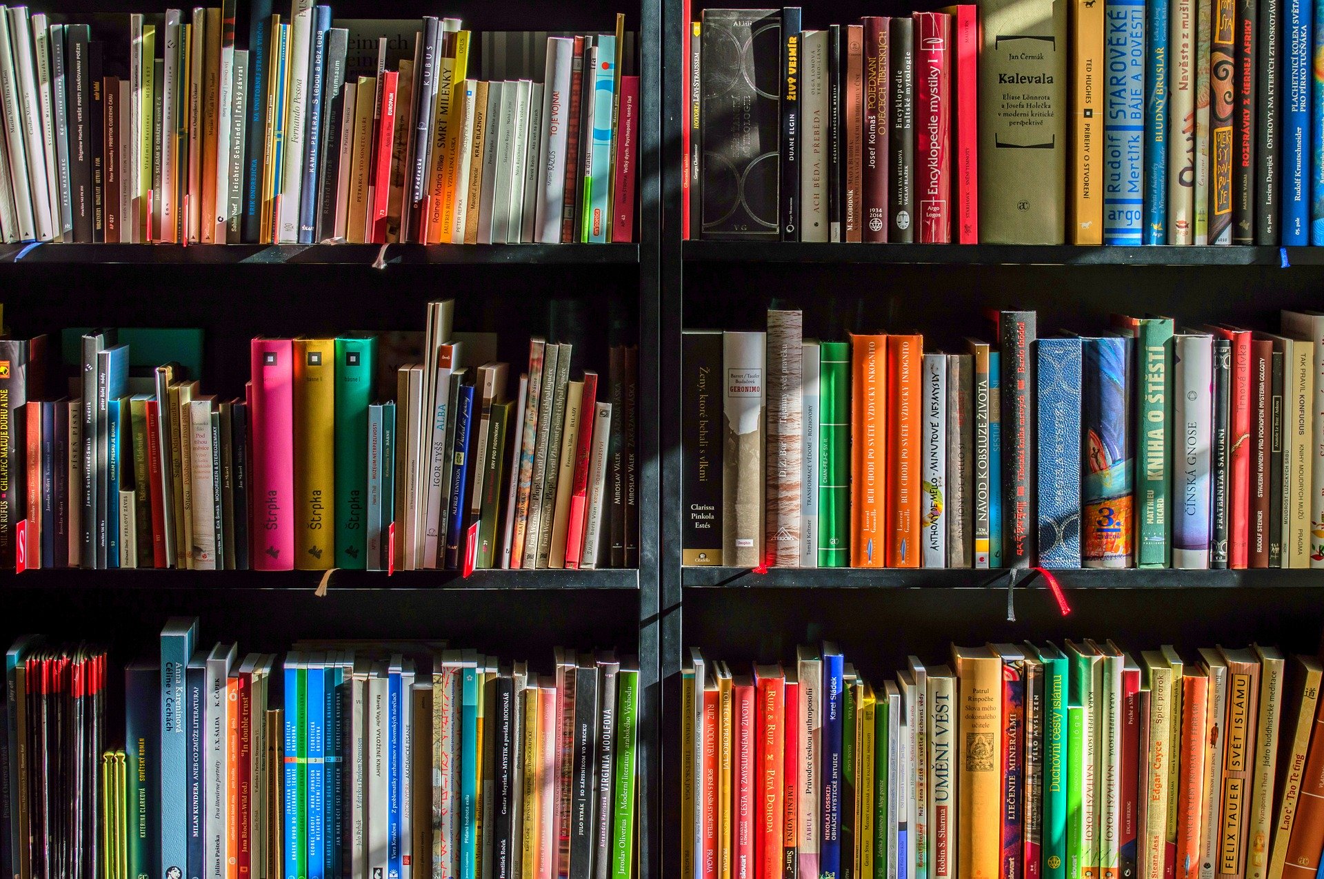 biblioteca.jpg