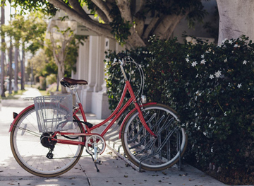 bicicletta(1).jpg