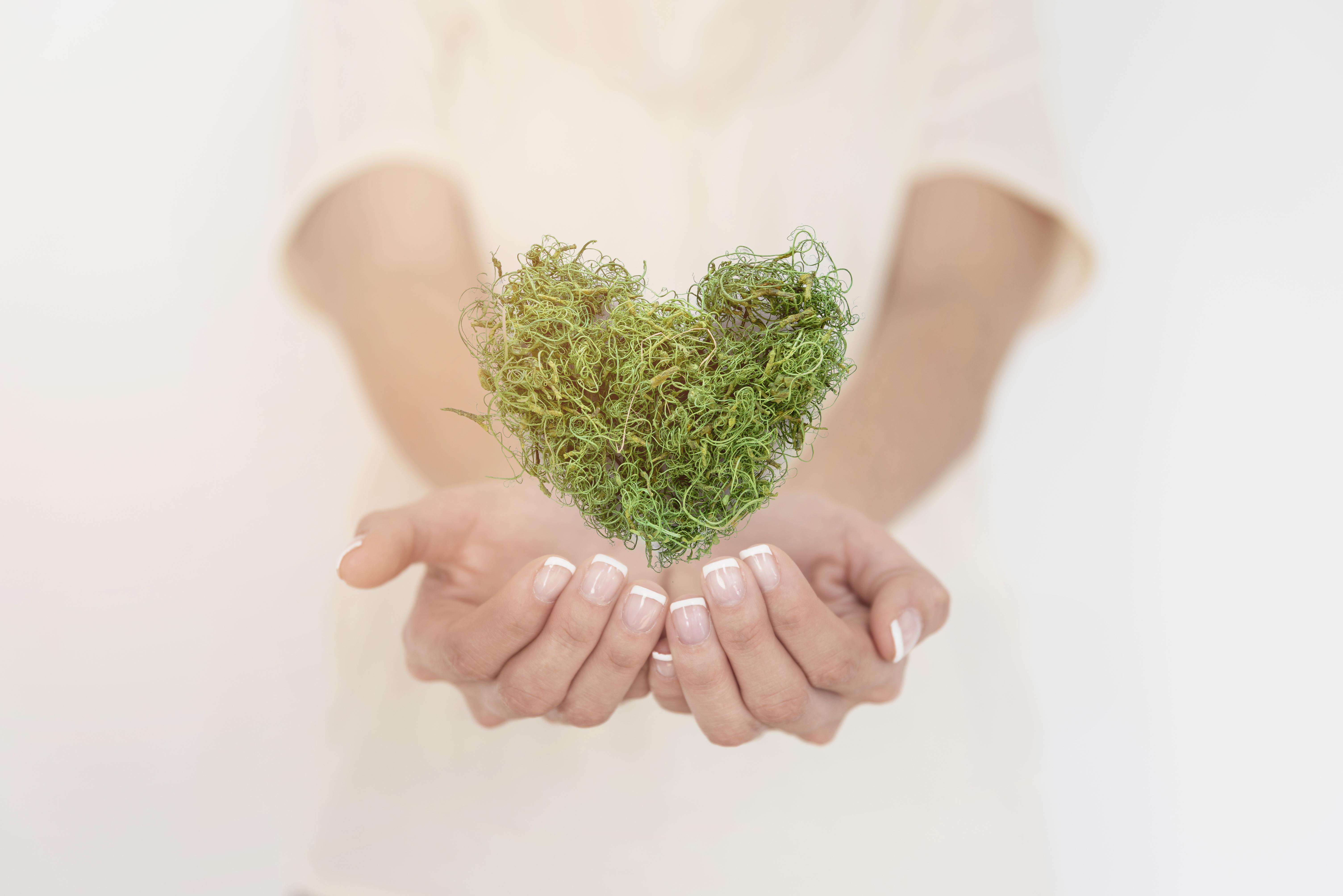 close-up-heart-made-greenary.jpg