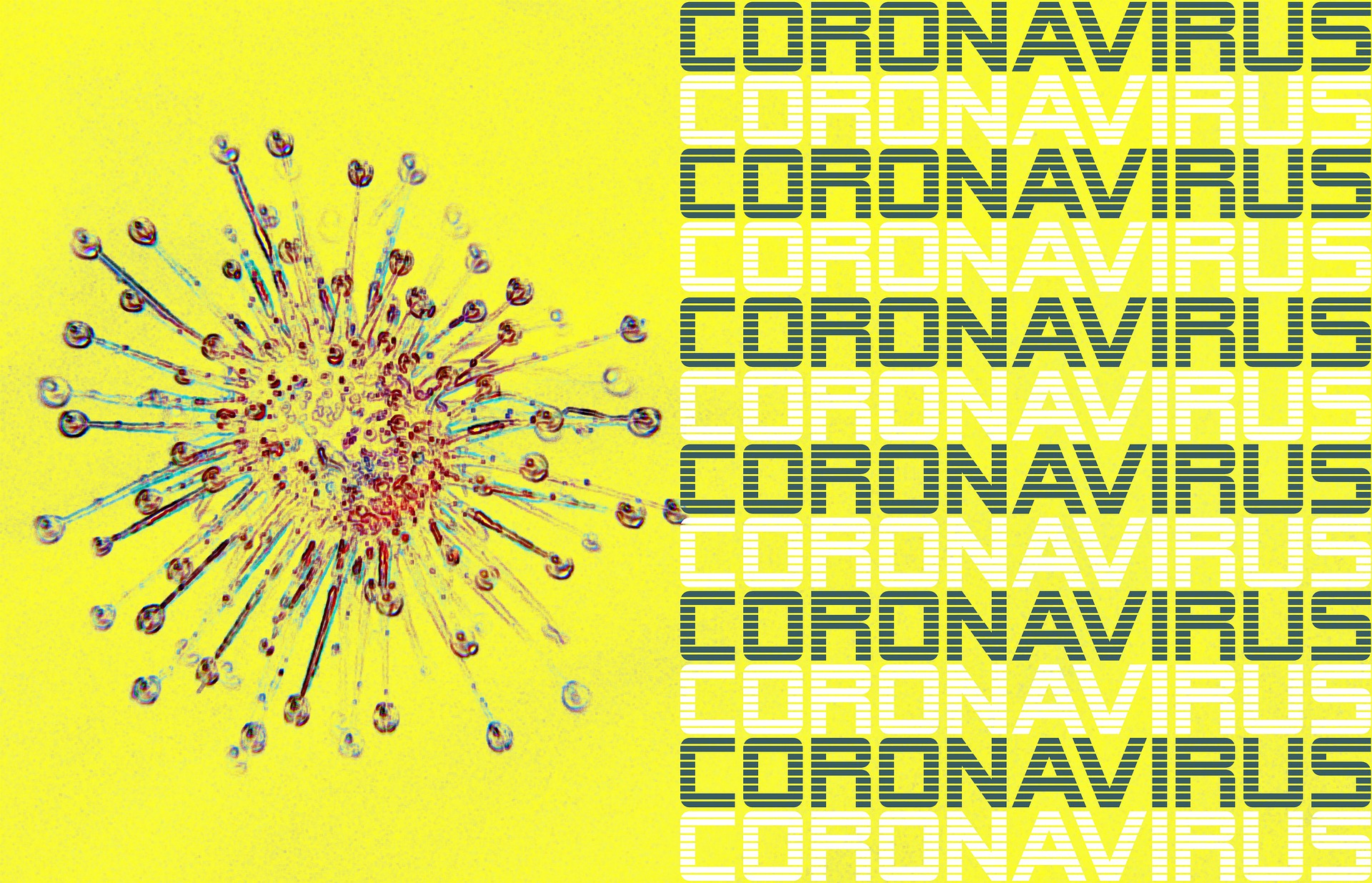 coronavirus.jpg