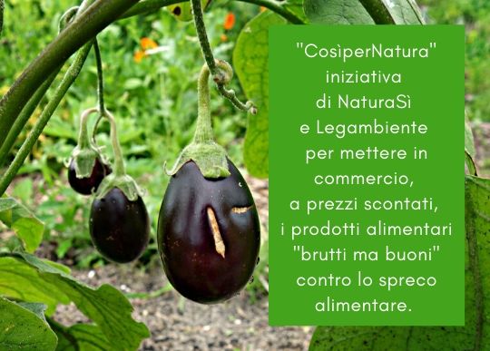 cosipernatura.jpg