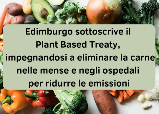 edimburgo-plant-based-treaty-1.png