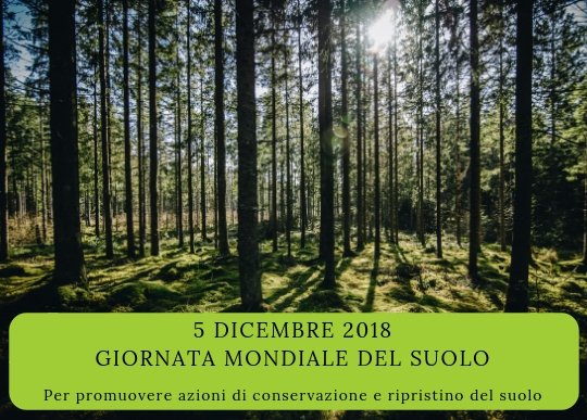 giornata_mondiale_del_suolo.jpg