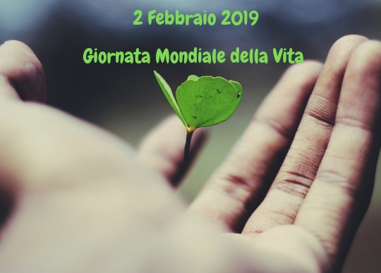 giornata_mondiale_della_vita.jpg