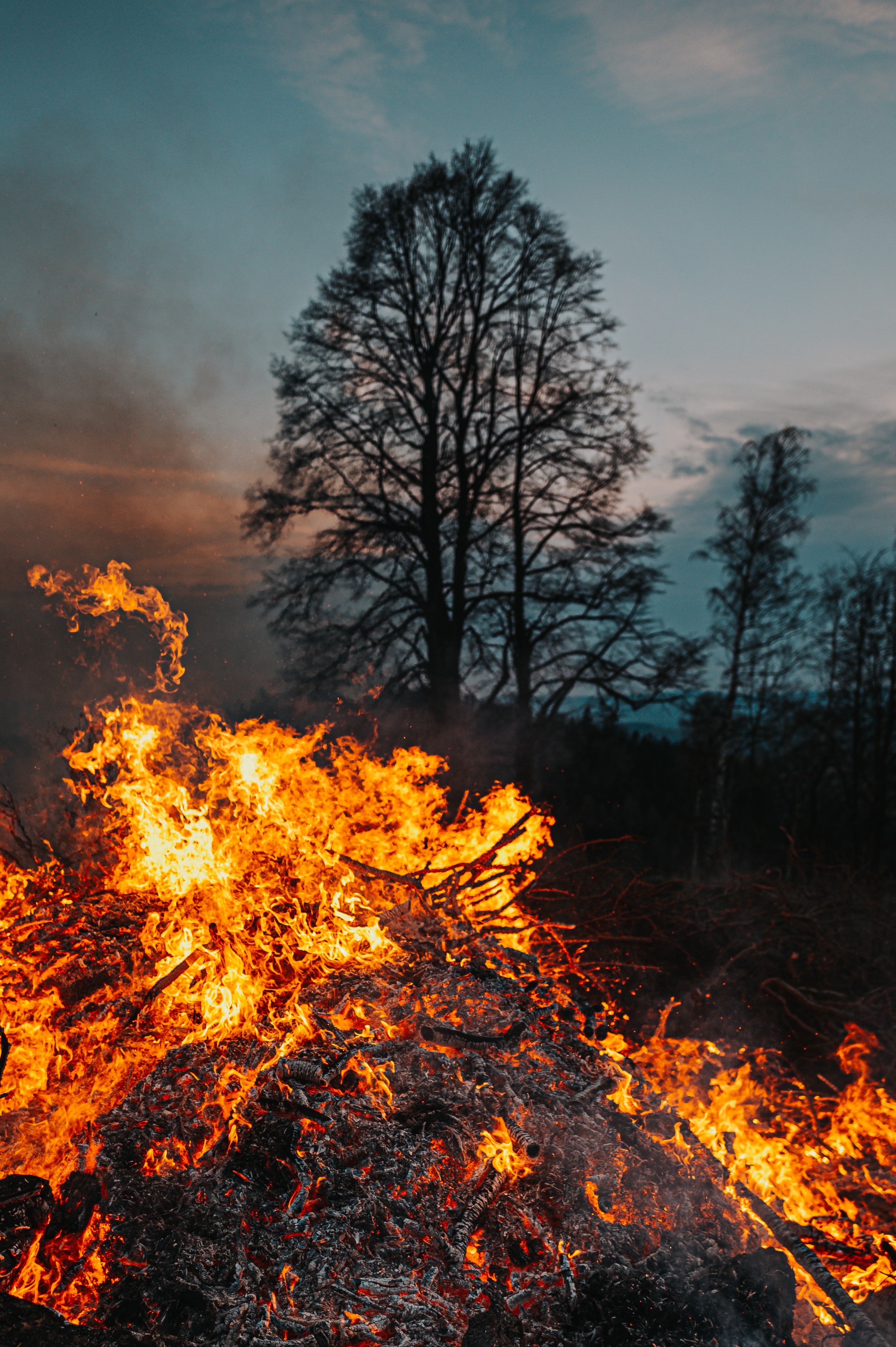 incendio bosco.jpg