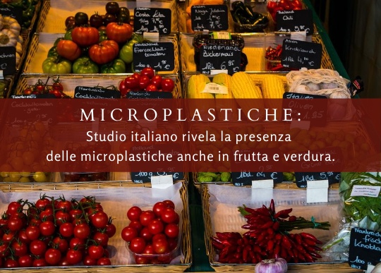 microplastiche.png