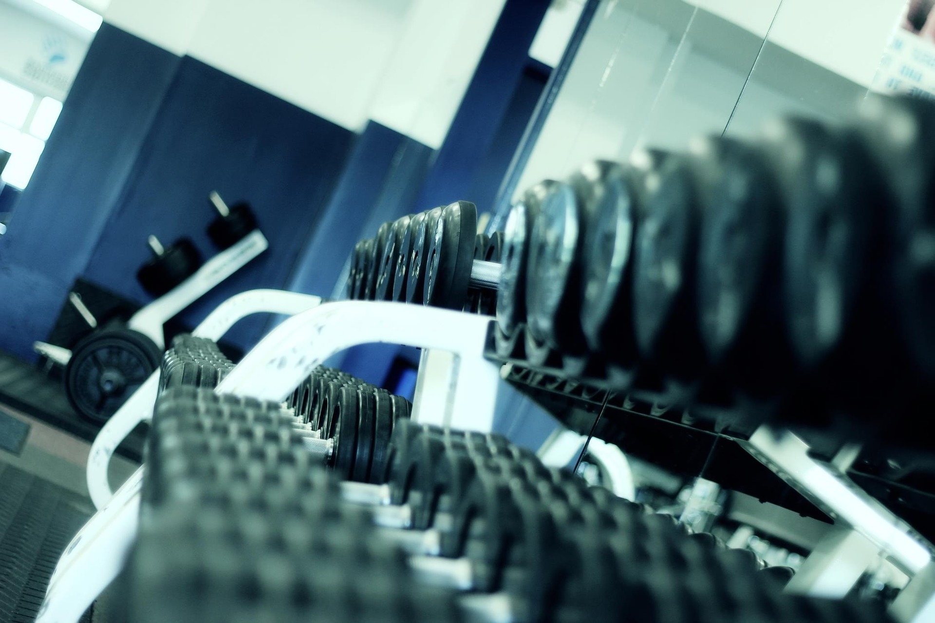 palestra(1).jpg