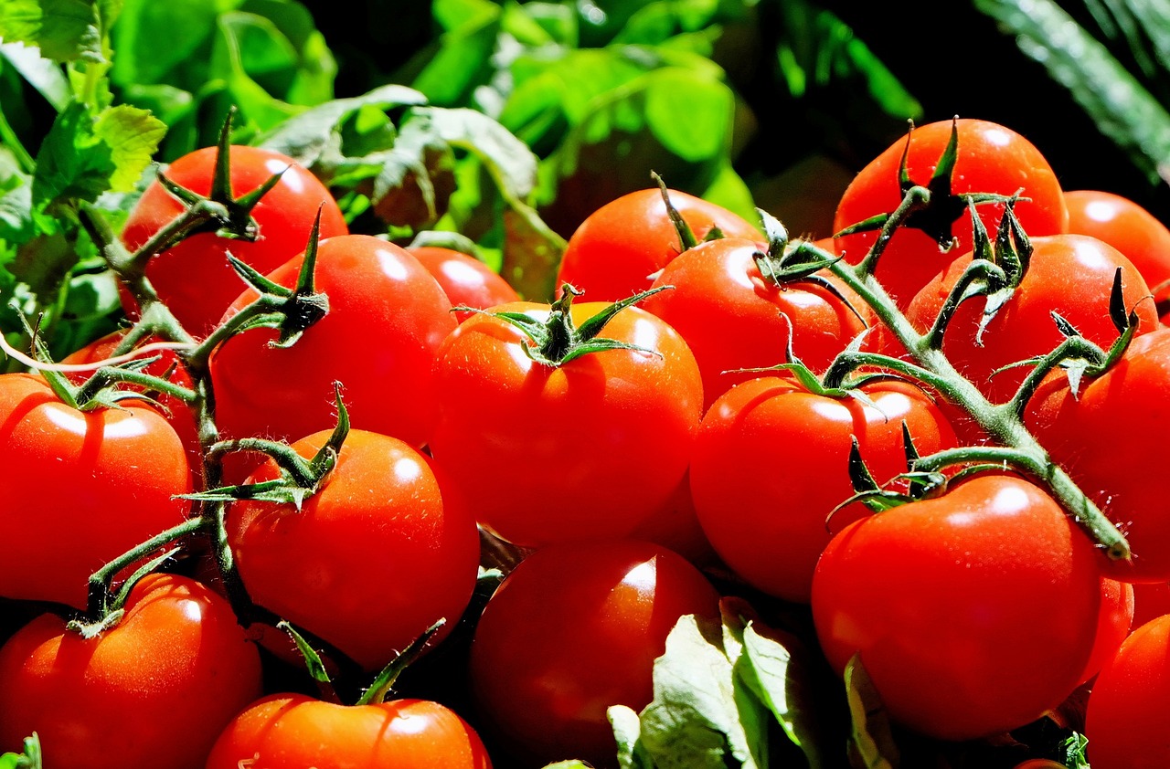 pomodori(2).jpg