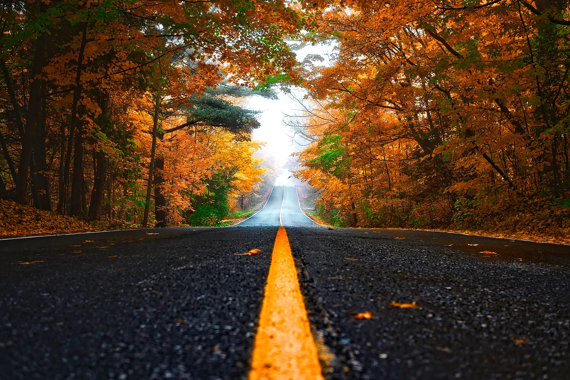 strada(1).jpg