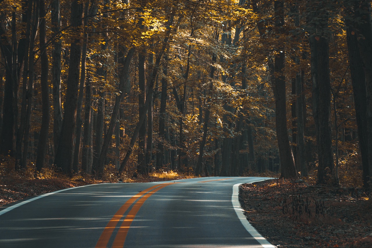 strada.jpg