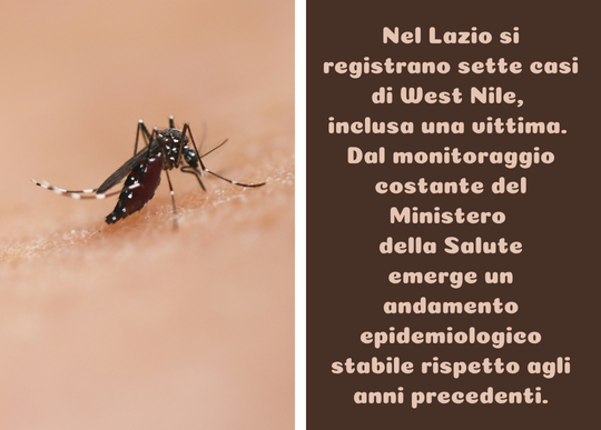 nel lazio casi zanzare.png