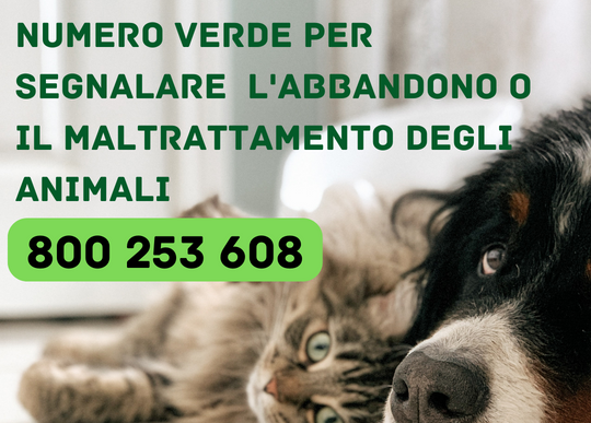 numero verde per abbandono o maltrattamento animali.png