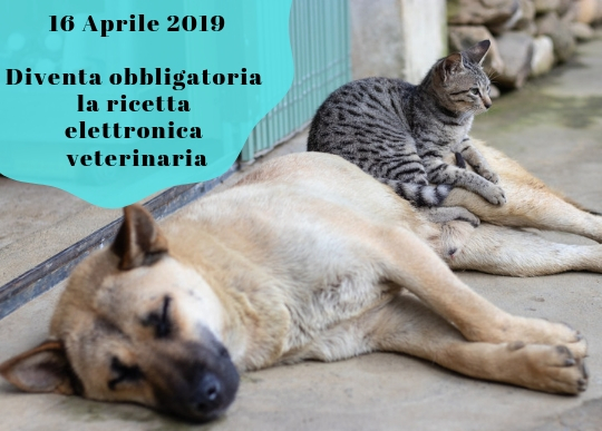 ricetta elettr veterinaria obbligatoria.jpg
