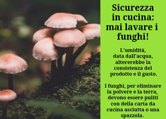 sicurezza cucina funghi .jpg