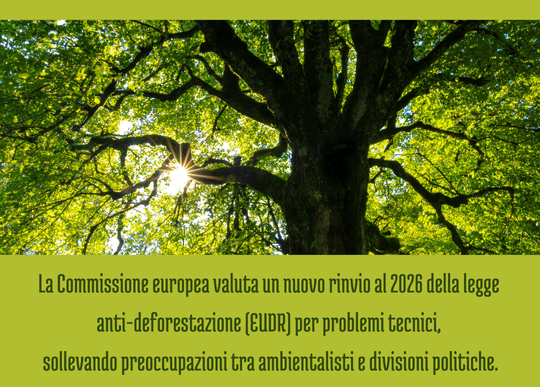slitta legge antideforestazione.png
