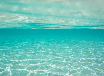 mare.jpg