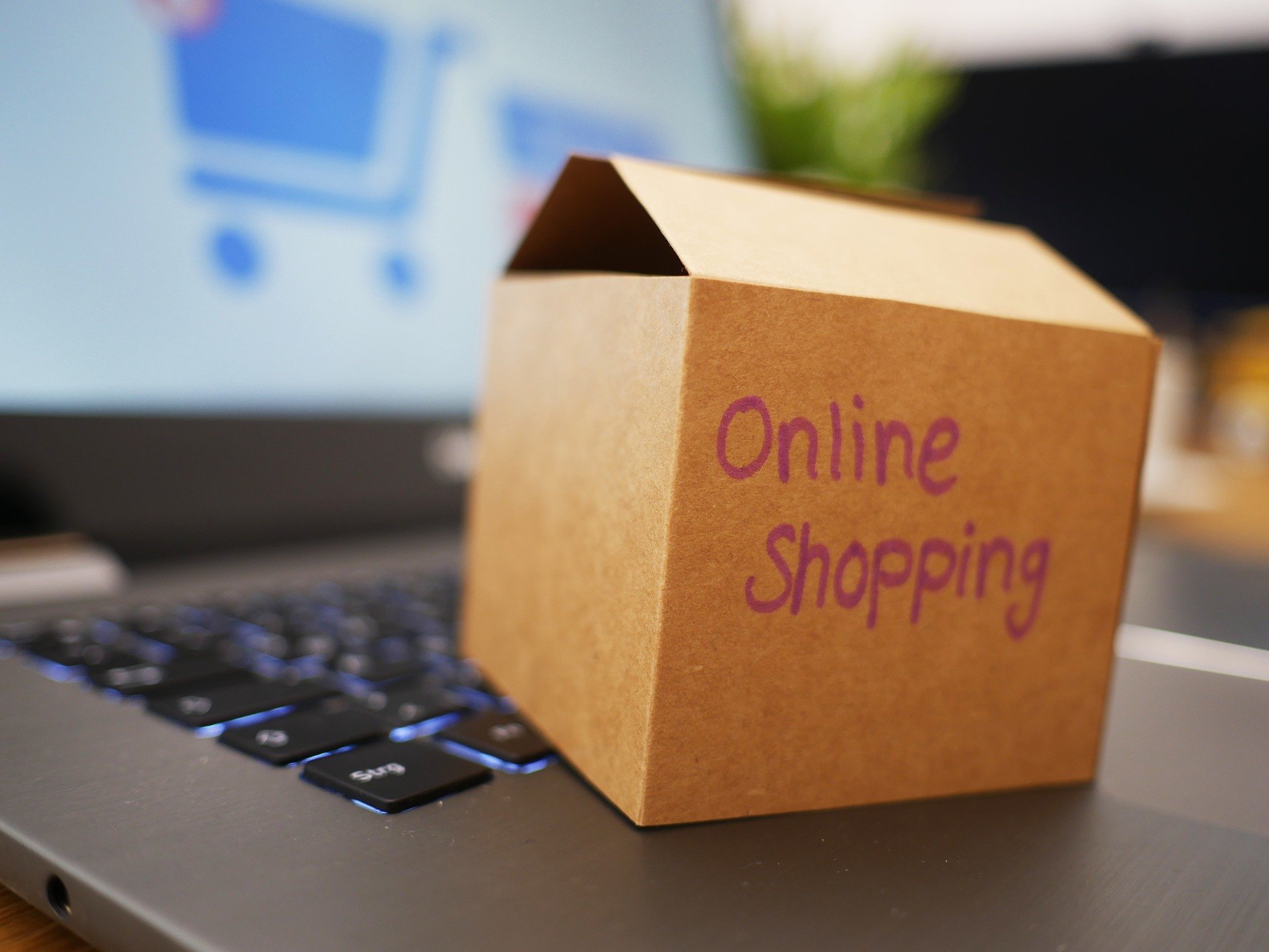 shoppingonline.jpg